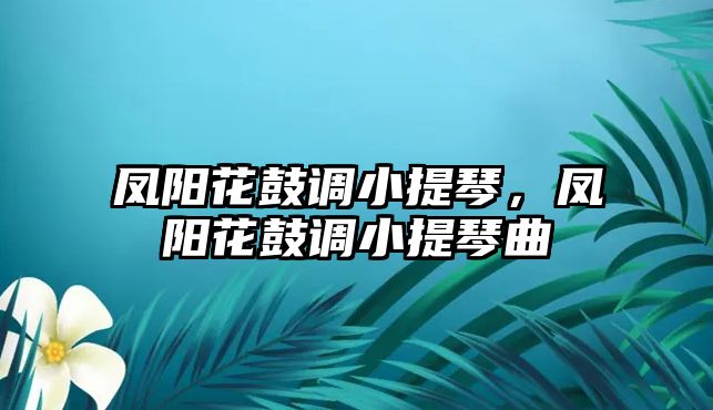 鳳陽花鼓調小提琴，鳳陽花鼓調小提琴曲