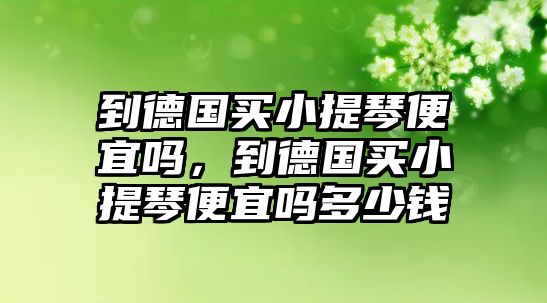 到德國買小提琴便宜嗎，到德國買小提琴便宜嗎多少錢