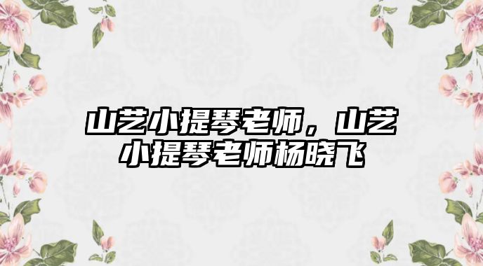 山藝小提琴老師，山藝小提琴老師楊曉飛