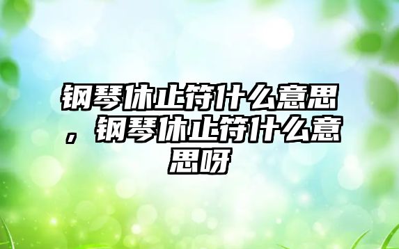 鋼琴休止符什么意思，鋼琴休止符什么意思呀