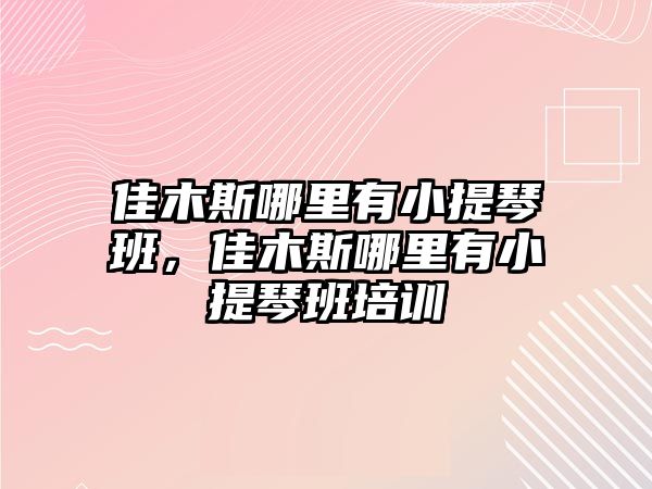 佳木斯哪里有小提琴班，佳木斯哪里有小提琴班培訓