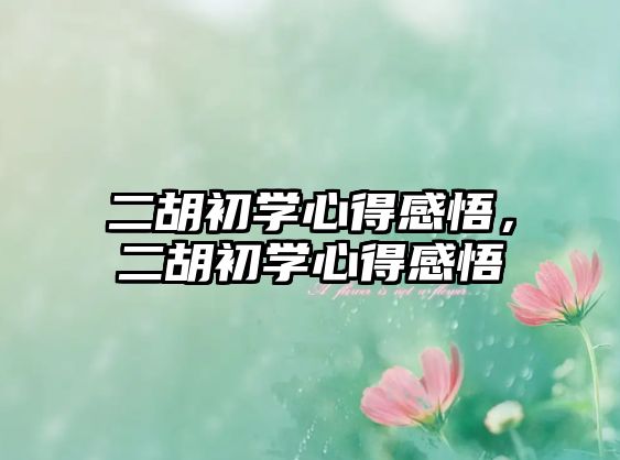 二胡初學心得感悟，二胡初學心得感悟