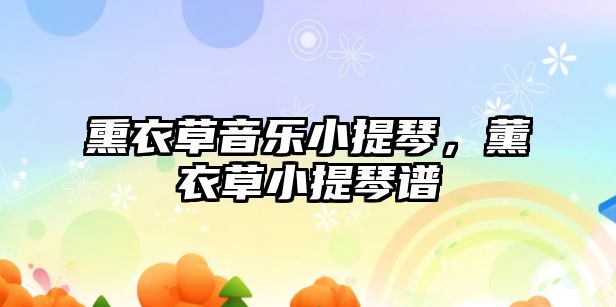 熏衣草音樂小提琴，薰衣草小提琴譜