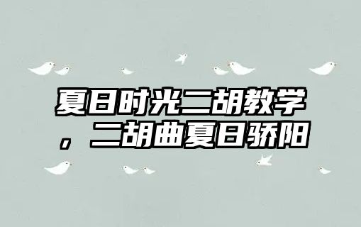 夏日時光二胡教學，二胡曲夏日驕陽