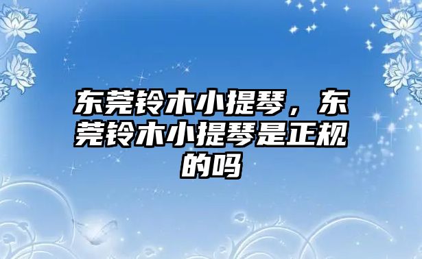 東莞鈴木小提琴，東莞鈴木小提琴是正規的嗎