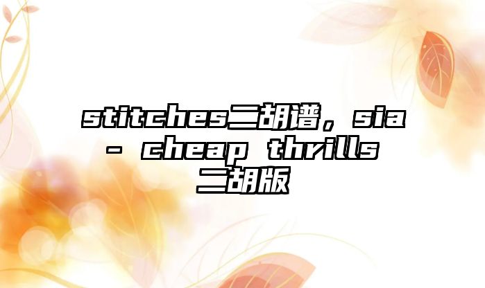 stitches二胡譜，sia - cheap thrills 二胡版