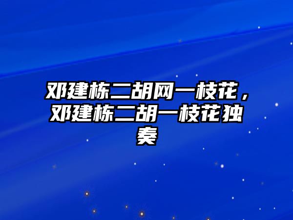 鄧建棟二胡網一枝花，鄧建棟二胡一枝花獨奏