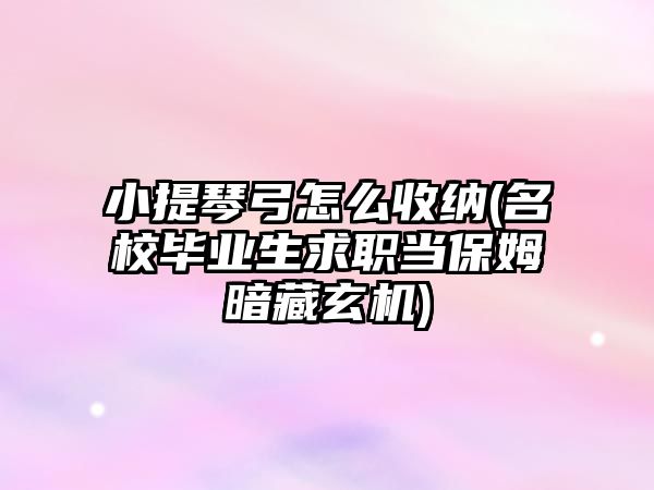 小提琴弓怎么收納(名校畢業生求職當保姆暗藏玄機)