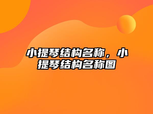 小提琴結(jié)構(gòu)名稱，小提琴結(jié)構(gòu)名稱圖