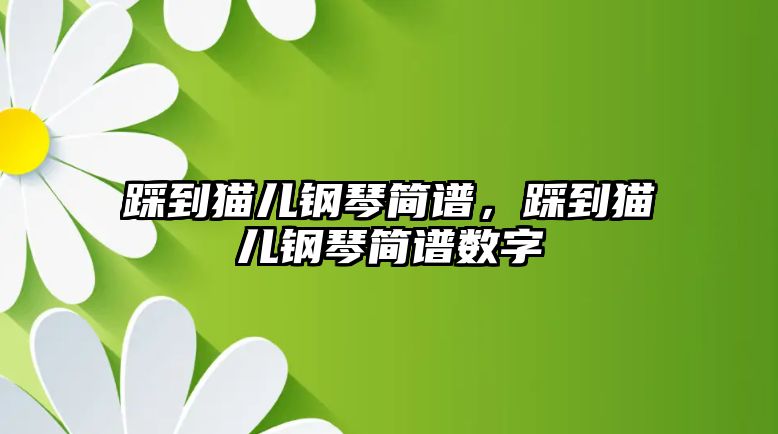 踩到貓兒鋼琴簡譜，踩到貓兒鋼琴簡譜數字