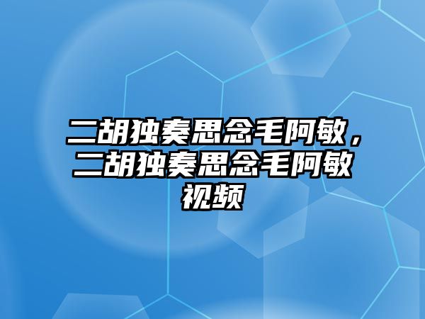 二胡獨奏思念毛阿敏，二胡獨奏思念毛阿敏視頻