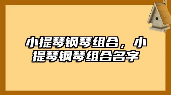 小提琴鋼琴組合，小提琴鋼琴組合名字