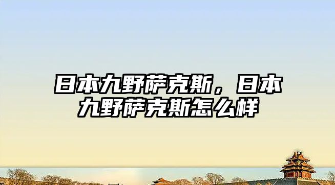 日本九野薩克斯，日本九野薩克斯怎么樣