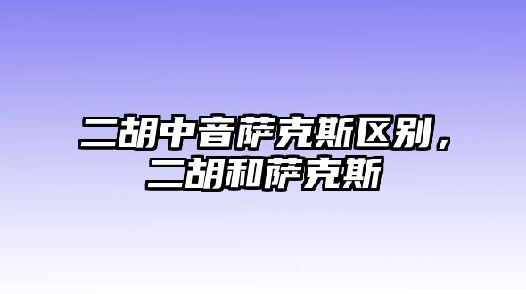 二胡中音薩克斯區別，二胡和薩克斯