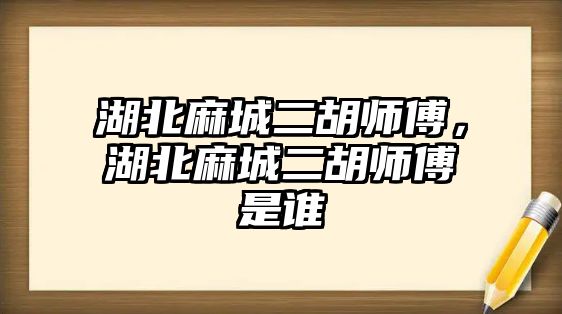 湖北麻城二胡師傅，湖北麻城二胡師傅是誰