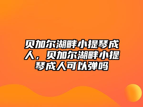 貝加爾湖畔小提琴成人，貝加爾湖畔小提琴成人可以彈嗎