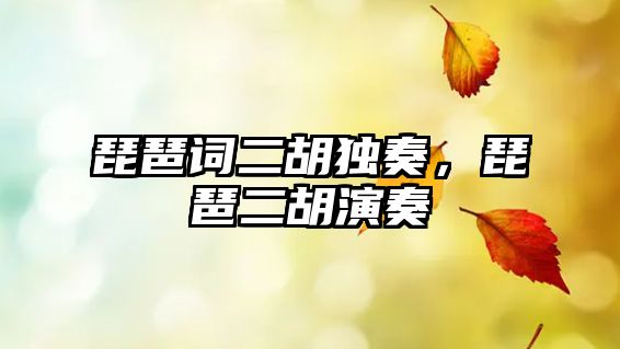 琵琶詞二胡獨奏，琵琶二胡演奏