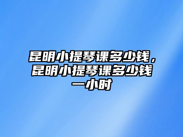 昆明小提琴課多少錢，昆明小提琴課多少錢一小時