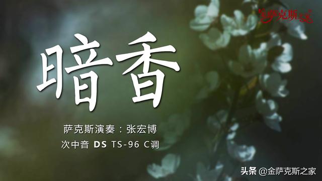 影視金曲《暗香》薩克斯旋律悠揚宛轉(zhuǎn) 美妙動聽 別具韻味