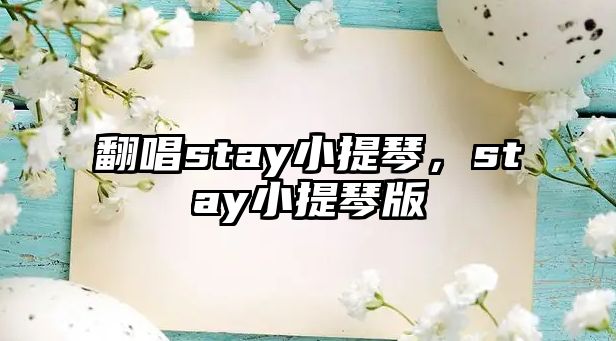 翻唱stay小提琴，stay小提琴版