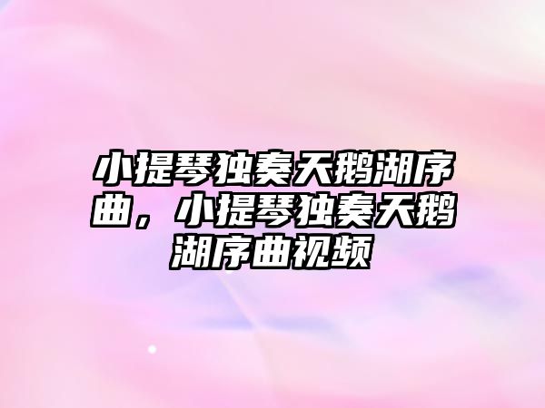 小提琴獨奏天鵝湖序曲，小提琴獨奏天鵝湖序曲視頻