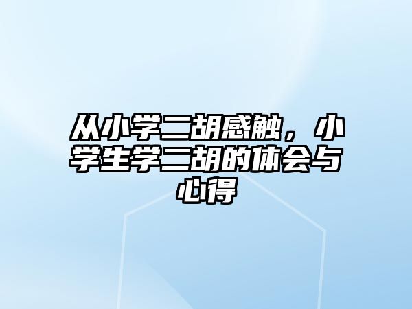 從小學二胡感觸，小學生學二胡的體會與心得