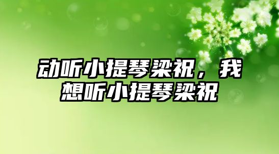 動聽小提琴梁祝，我想聽小提琴梁祝