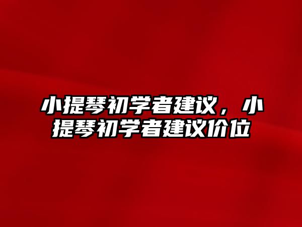 小提琴初學者建議，小提琴初學者建議價位