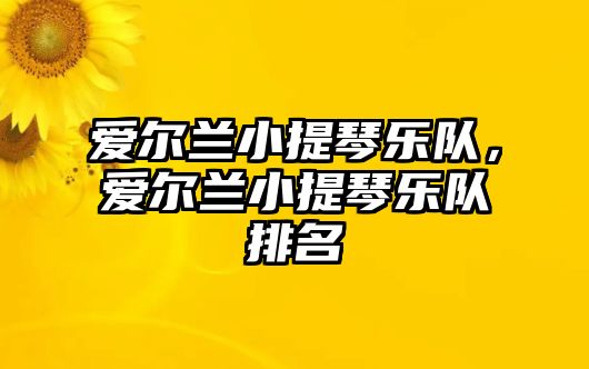 愛(ài)爾蘭小提琴樂(lè)隊(duì)，愛(ài)爾蘭小提琴樂(lè)隊(duì)排名