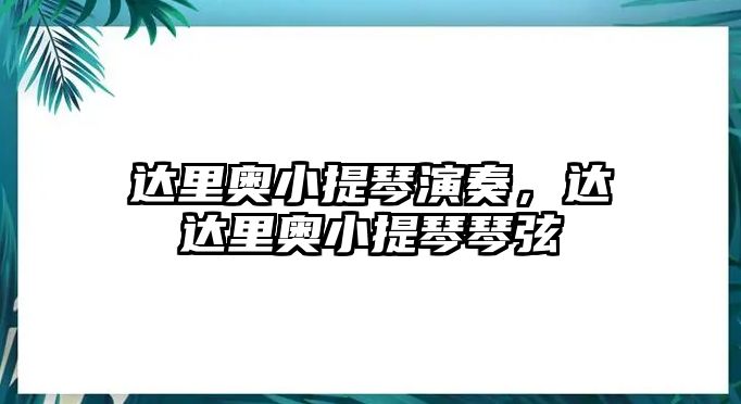 達里奧小提琴演奏，達達里奧小提琴琴弦