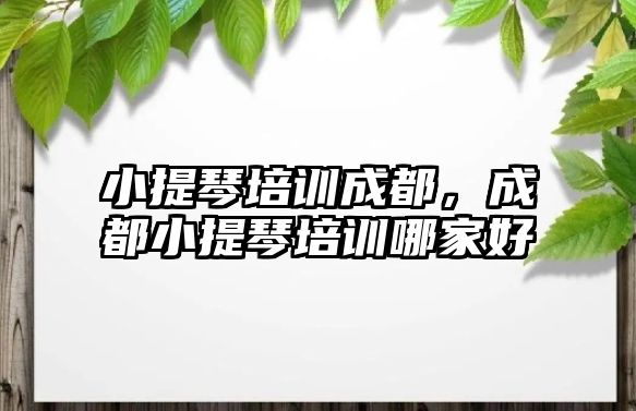 小提琴培訓成都，成都小提琴培訓哪家好