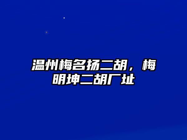 溫州梅名揚二胡，梅明坤二胡廠址