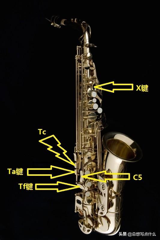 薩克斯的基礎構造與各按鍵的具體作用！更舒適的指法就靠它們了