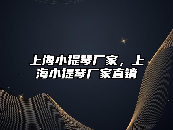 上海小提琴廠家，上海小提琴廠家直銷