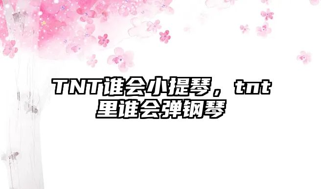 TNT誰會小提琴，tnt里誰會彈鋼琴