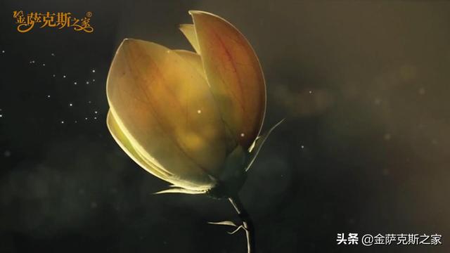 影視金曲《暗香》薩克斯旋律悠揚宛轉(zhuǎn) 美妙動聽 別具韻味