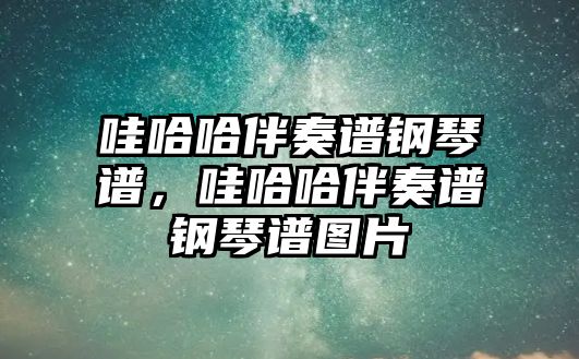 哇哈哈伴奏譜鋼琴譜，哇哈哈伴奏譜鋼琴譜圖片