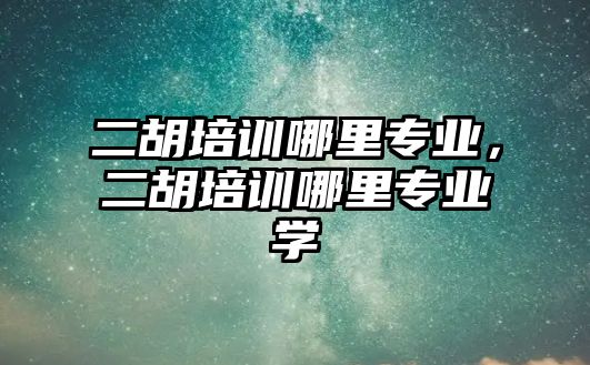 二胡培訓哪里專業，二胡培訓哪里專業學