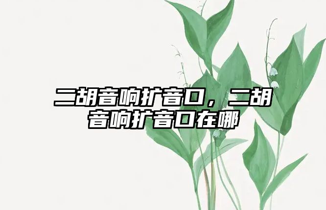 二胡音響擴音口，二胡音響擴音口在哪