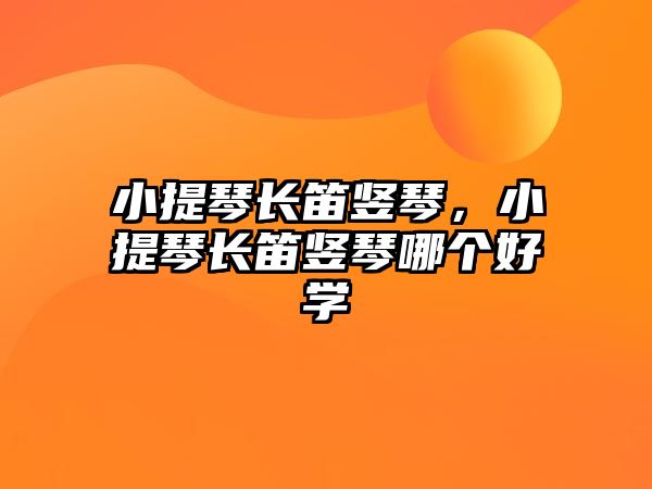 小提琴長笛豎琴，小提琴長笛豎琴哪個好學