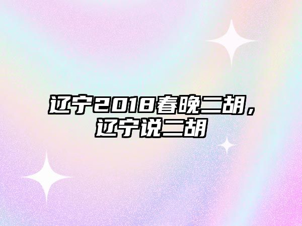 遼寧2018春晚二胡，遼寧說二胡