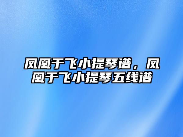 鳳凰于飛小提琴譜，鳳凰于飛小提琴五線譜