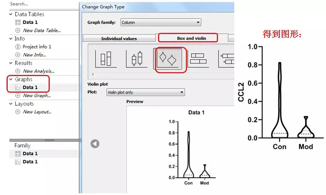 Graphpad Prism 8.0，如何快速繪制小提琴圖？