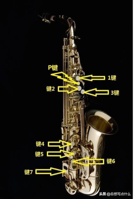 薩克斯的基礎構造與各按鍵的具體作用！更舒適的指法就靠它們了