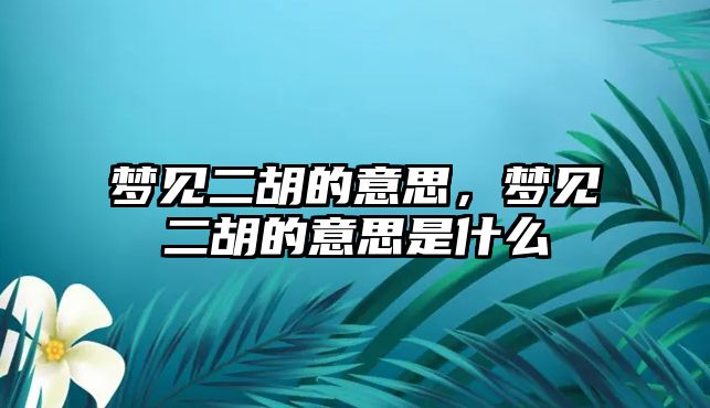 夢見二胡的意思，夢見二胡的意思是什么