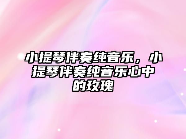 小提琴伴奏純音樂，小提琴伴奏純音樂心中的玫瑰