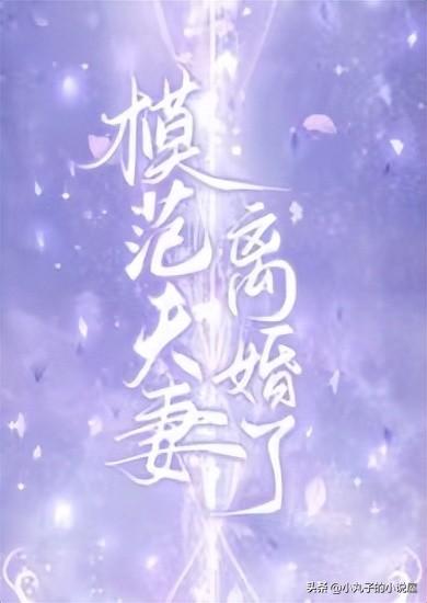 以鋼琴有關的小說女主(精選：模范夫妻離婚了by阿花，溫柔鋼琴女老師vs荷爾蒙爆棚軍漢子)