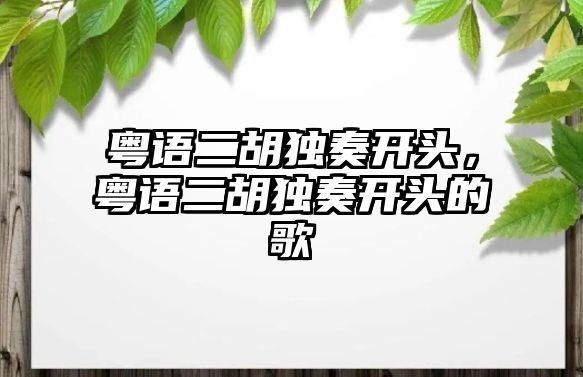 粵語二胡獨奏開頭，粵語二胡獨奏開頭的歌