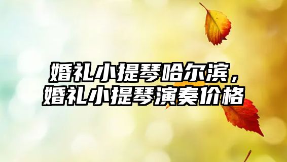 婚禮小提琴哈爾濱，婚禮小提琴演奏價(jià)格