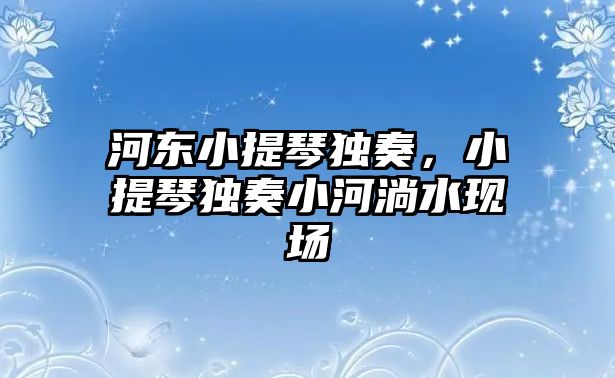 河東小提琴獨奏，小提琴獨奏小河淌水現場